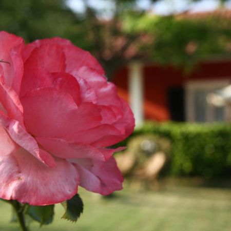 B&B Doremi Osimo Dış mekan fotoğraf