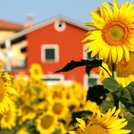 B&B Doremi Osimo Dış mekan fotoğraf