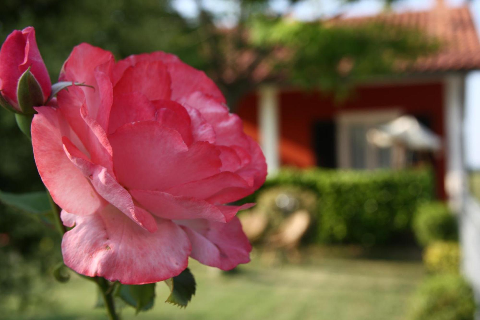 B&B Doremi Osimo Dış mekan fotoğraf