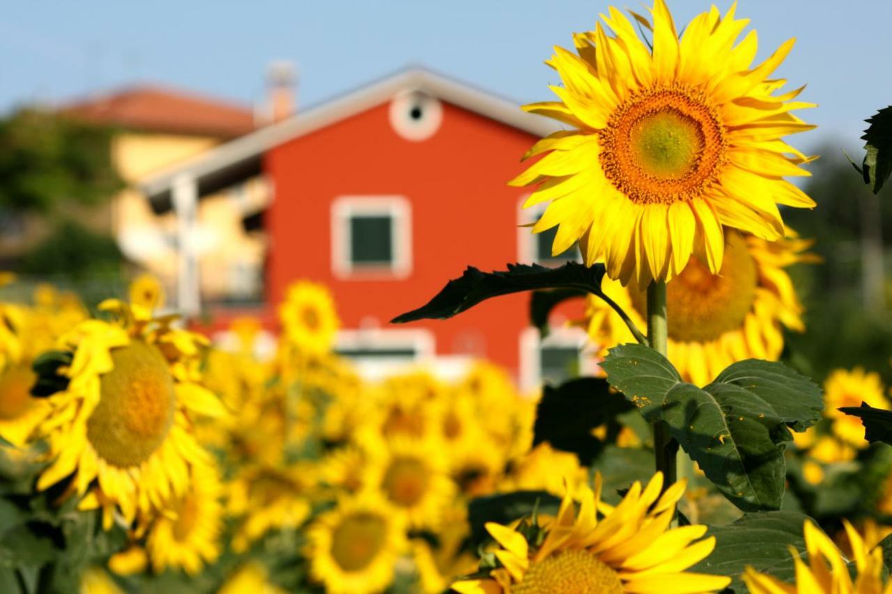 B&B Doremi Osimo Dış mekan fotoğraf